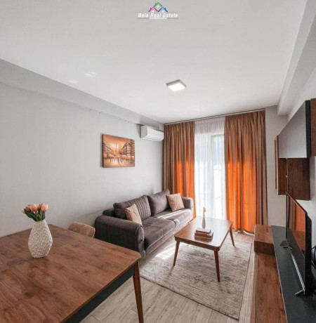 apartament-me-qera-11-tek-5-maji-id-b210856-tirane-big-0