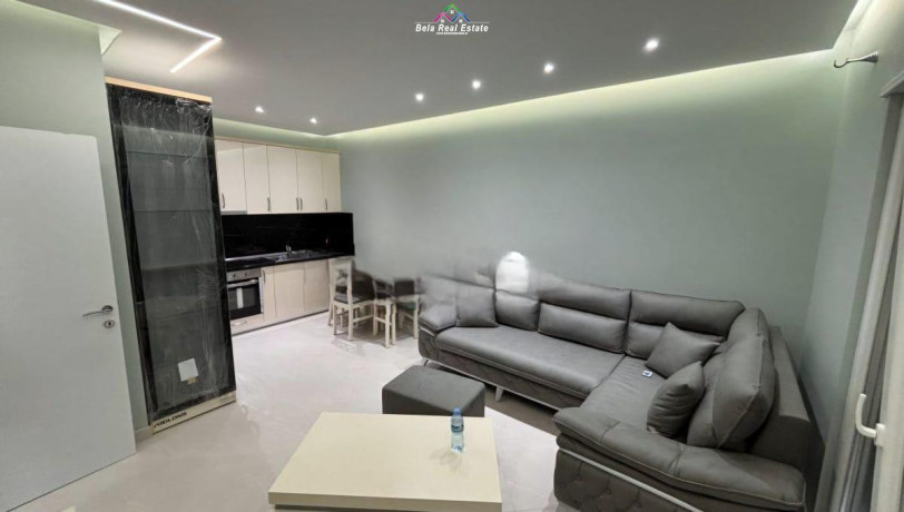 apartament-me-qera-11-tek-rruga-bardhyl-id-b210859-tirane-big-0