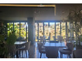 restorant-me-qera-ne-sauk-te-vjeter-id-bl2143-tirane-small-0