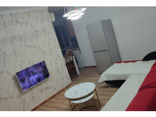 Apartament Me Qera 1+1 tek Komuna e Parisit (ID B210868) Tirane.