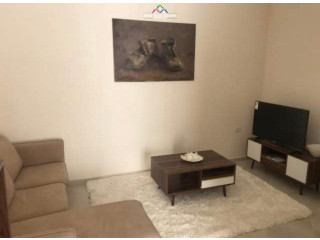 Apartament Me Qera 1+1 Ne Fresk (ID B210883) Tirane.