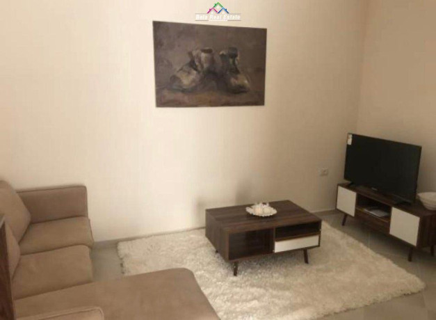 apartament-me-qera-11-ne-fresk-id-b210883-tirane-big-0