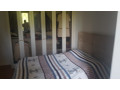 apartament-me-qera-31-tek-kopshti-botanik-id-b2372-tirane-small-2