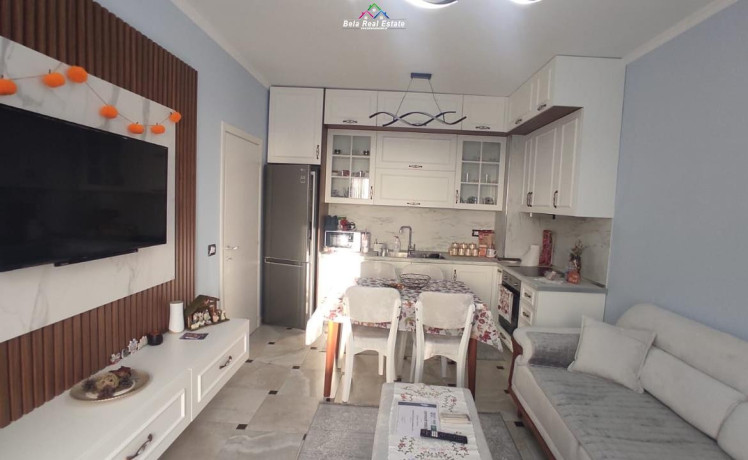 apartament-me-qera-11-tek-porcelani-id-b210888-tirane-big-1