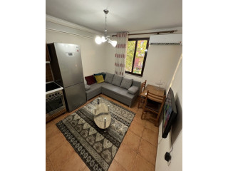 Apartament Me Qera 1+1 Tek 21 Dhjetori (ID B211287) Tirane