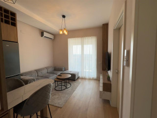 Apartament me qera 1+1 tek Bulevardi i Ri (ID B210898) Tirane