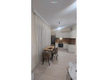 apartament-me-qera-11-tek-fusha-e-aviacionit-id-b210899-tirane-small-1