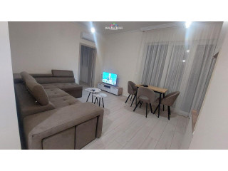 Apartament me Qera 1+1 Tek Fusha e Aviacionit (ID B210899) Tirane