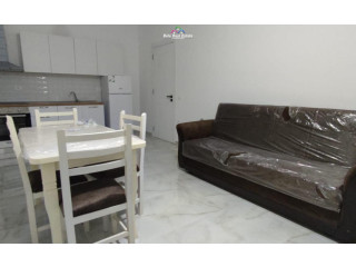 Apartament Me Qera 1+1 Tek Rruga E Dibres (ID B210436) Tirane