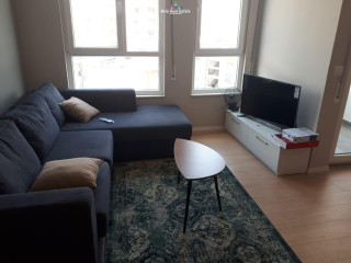 Apartament me qera 1+1 Tek Ali Demi (ID B210325) Tirane.