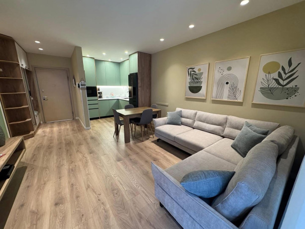 apartament-me-qera-21-tek-rruga-e-elbasanit-id-b2201124-tirane-big-0