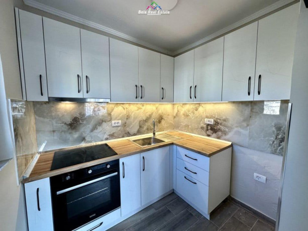 apartament-me-qera-11-tek-rruga-elbasanit-id-b211299-tirane-big-0