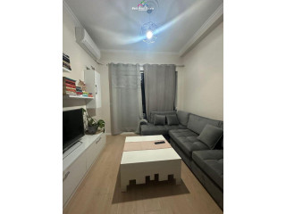 Apartament me Qera 1+1 Tek 21 Dhjetori (ID B210933) Tirane