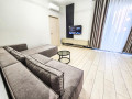 apartament-me-qera-11-tek-ish-fusha-e-aviacionit-id-b210944-tirane-small-0