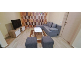 Apartament me qera 1+1 tek Rruga e Kosovareve (ID B210948) Tirane