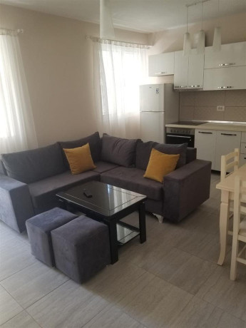 apartament-me-qera-11-prane-rruges-bardhyl-id-b211312-tirane-big-0