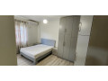 apartament-me-qera-21-tek-kopshti-zoologjik-id-b220530-tirane-small-3