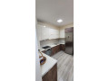 apartament-me-qera-21-tek-kopshti-zoologjik-id-b220530-tirane-small-1