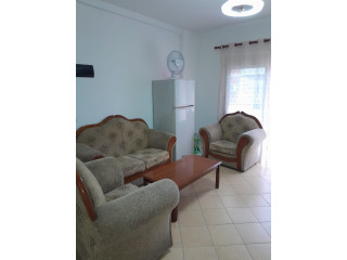 Apartament Me Qera 1+1 Tek Komuna e Parisit (ID B210978) Tirane