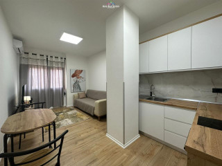 Apartament Me Qera 1+1 Tek Rruga e Bogdaneve (ID B210984) Tirane