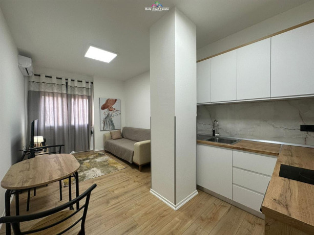 apartament-me-qera-11-tek-rruga-e-bogdaneve-id-b210984-tirane-big-0