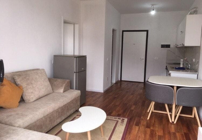 apartament-ne-shitje-11-ne-shkoze-id-b110399-tirane-big-0