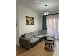 Apartament Me Qera 1+1 Tek Brryli (ID B210992 ) Tirane