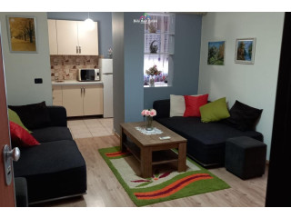 Apartament Me Qera 1+1 Tek Sheshi Willson (ID B210449) Tirane