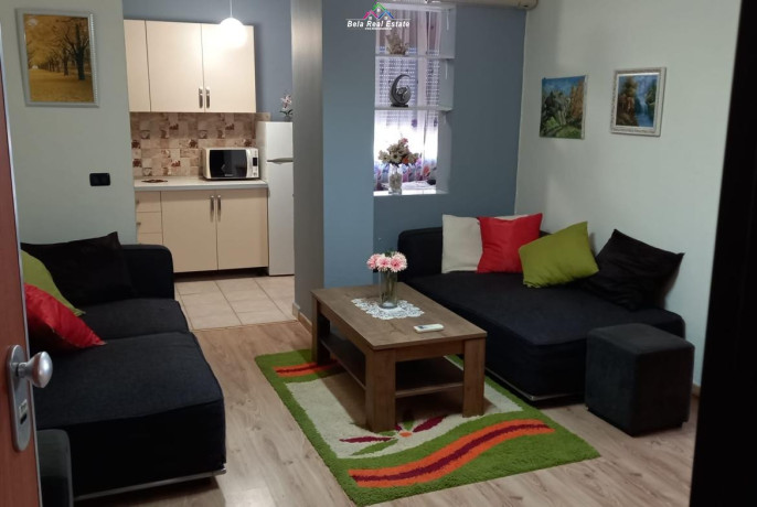 apartament-me-qera-11-tek-sheshi-willson-id-b210449-tirane-big-0