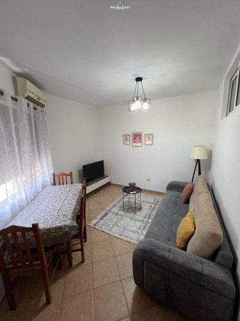 apartament-me-qera-11-prane-xhamise-se-tabakve-id-b2101057-tirane-big-0
