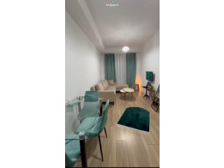 Apartament Me Qera 1+1 Ne Ali Dem (ID B2101063) Tirane