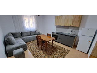Vile me qera 1+1 Tek Rruga e Dibres (ID BV22423) Tirane