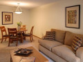 apartament-me-qera-31-tek-tregu-elektrik-id-b23125-tirane-small-0
