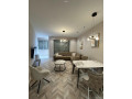 apartament-me-qera-212-ne-qender-tirane-small-0
