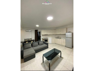 Apartament Me Qera 2+1 tek Vasil Shanto