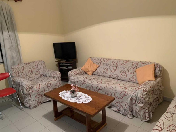 apartament-ne-shitje-11-tek-mine-peza-id-b111127-tirane-big-0
