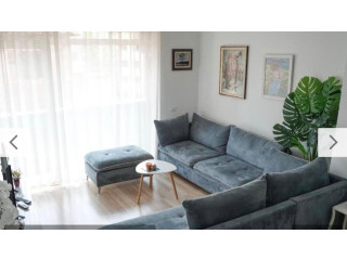 Apartament Me Qera 1+1 Ne Qender