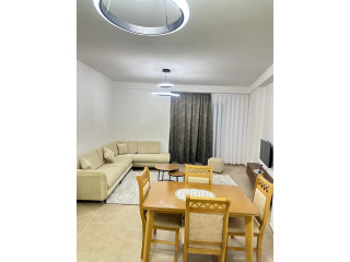 Apartament Me Qera 1+1 Ne Astir (ID B2101123) tirane