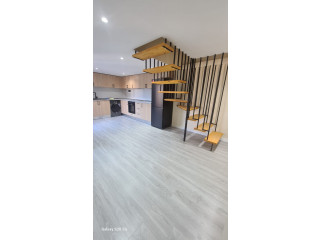 Apartament me Qera 2+1 Duplex tek Liqeni i Thate (ID B2201343)