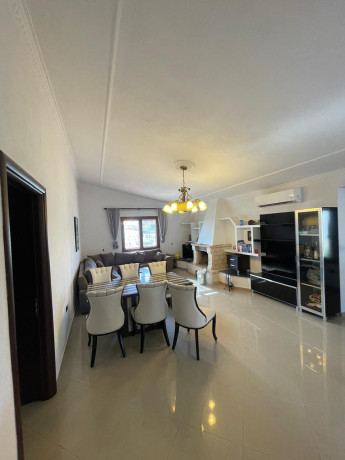 vile-2-kateshe-per-shitje-prane-liqenit-te-farkes-id-bv0117-tirane-big-0