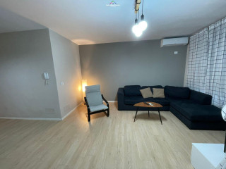 Apartament me Qera 1+1 Tek Ali Demi (