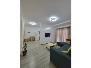Apartament Me Qera 1+1 Tek Varri i Bamit (ID B2101141) Tirane.