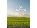 toke-ne-shitje-prane-kombinatit-750-m2-small-0