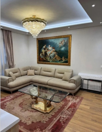 apartament-11-me-qira-liqeni-artificial-750-eur-big-1
