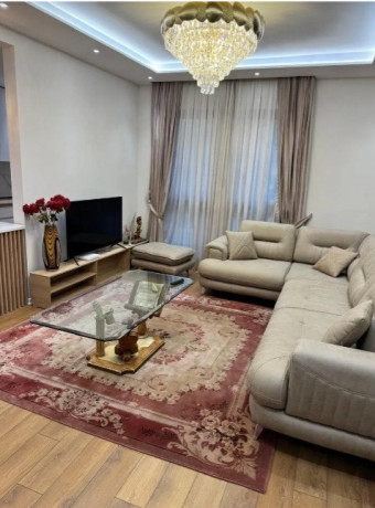 apartament-11-me-qira-liqeni-artificial-750-eur-big-0