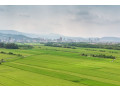 shitet-toke-ne-shkoze-110000-eur-small-0