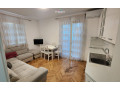 apartament-me-qera-11-tek-rruga-barrikadave-id-b211152-tirane-small-0