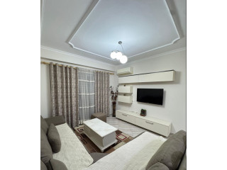 Apartament Me Qera 1+1 Tek Komuna e Parisit (ID B2101160) Tirane.