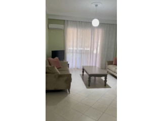 Apartament me Qera 1+1 Ne Vasil Shanto (ID B2101163) Tirane.