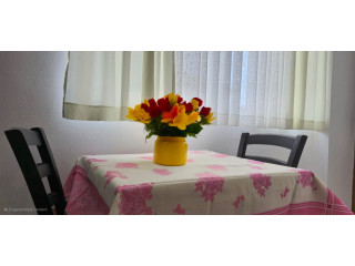 Dhoma me qira, vetem 6 minuta larg liqenit, Guest House Pogradeci